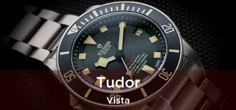 Tudor Vista